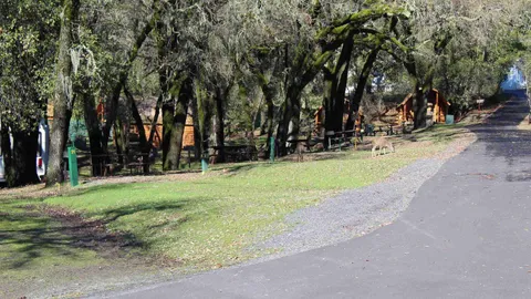 30 Amp Standard RV Site — image 2 of 4