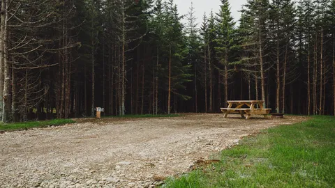 20 Amp 2 Way(Electric/Water - Shared) Site — image 5 of 5