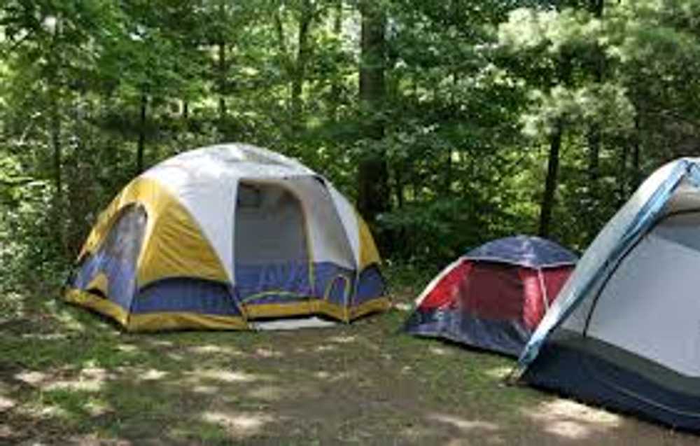Group Tent Site