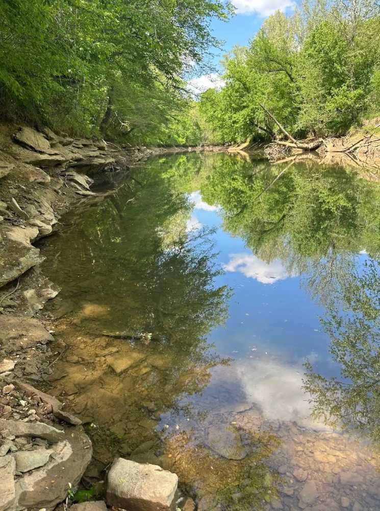 Calfkiller Bend Campground, Doyle, Tennessee - Photo 2