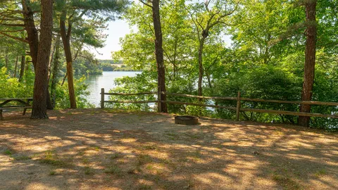 Tent Site-Primative — image 1 of 3