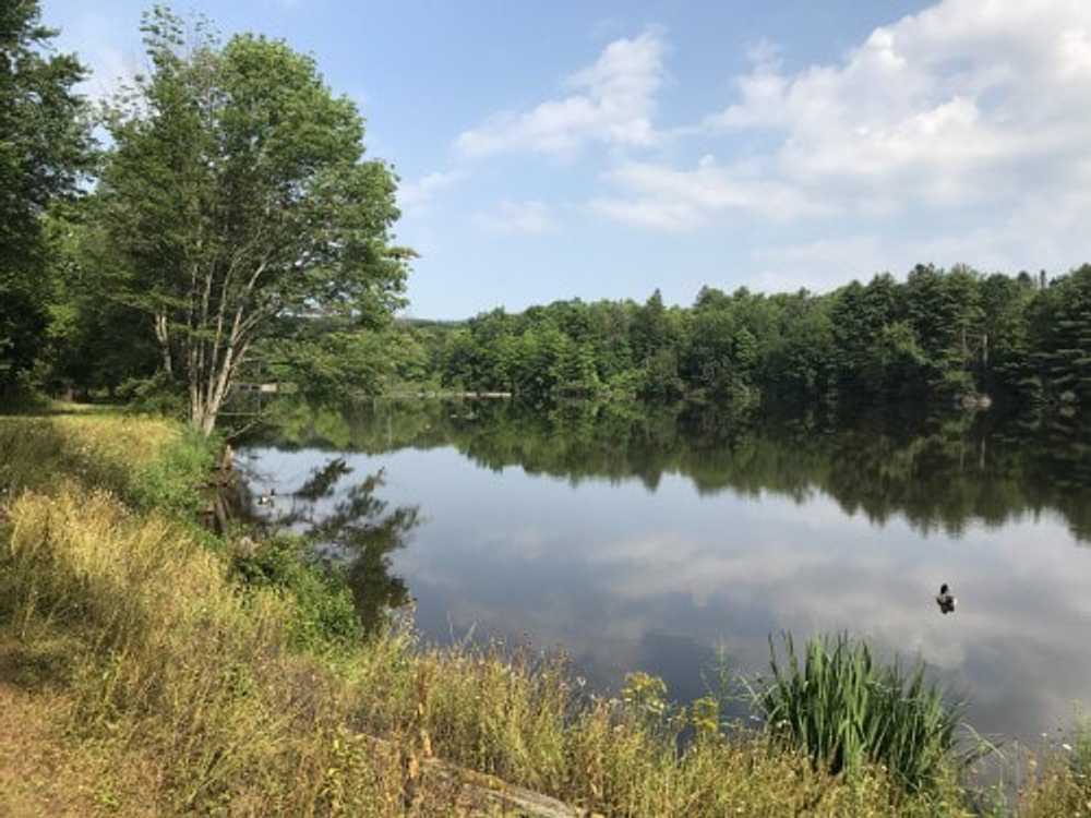 Park Image 14