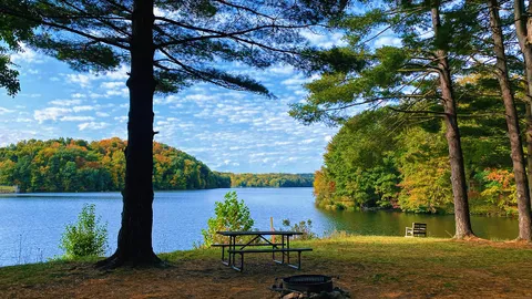 Len's Loop / Lake Front Tent / 20 Amp — image 1 of 7