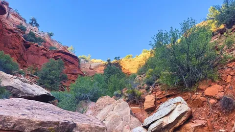 Full Hookup Back-In RV Site — image 22 of 22