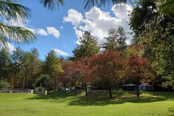 Rose Creek Campground & Cabins – photo 1