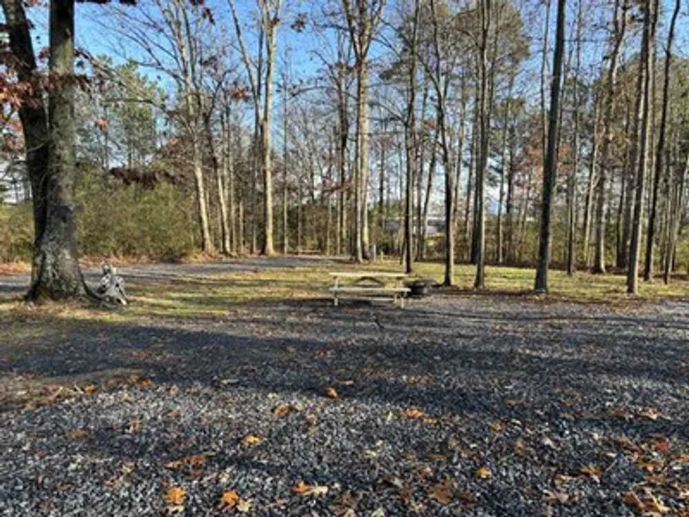 Deer Valley RV Park, Chatsworth, Georgia - Photo 5