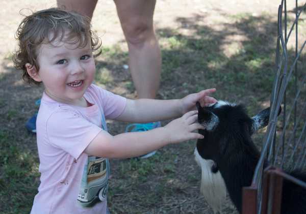 Animal Encounters Weekend