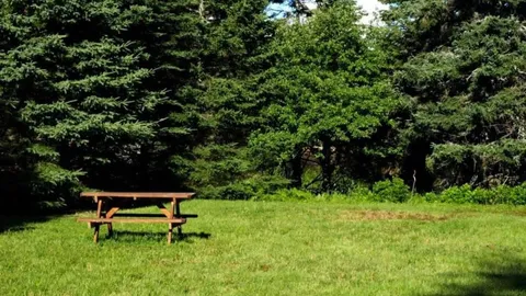 Primitive Tent site - Non Serviced — image 1 of 5