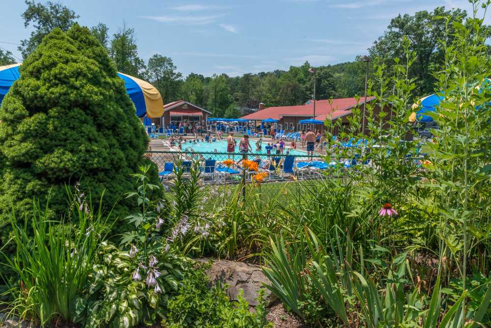 Park Image 6