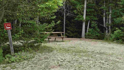 Tent, Standard, No Hook ups — image 1 of 1