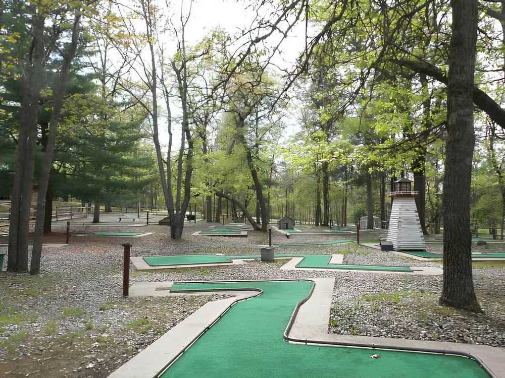 Twin Bears Wooded Campground - Indian River, MI - Photo 2