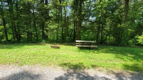 Primitive Site — image 2 of 30