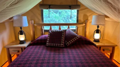 Snugglebear Glamping Tent — image 2 of 4