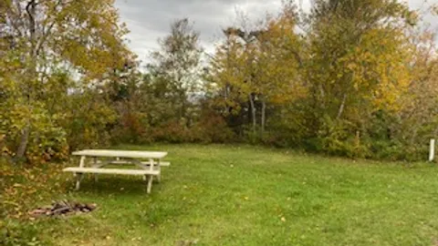 Unserviced Sheltered Tent Site — image 2 of 3
