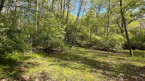 Woodland Rustic Sites - Tent — image 1 of 5
