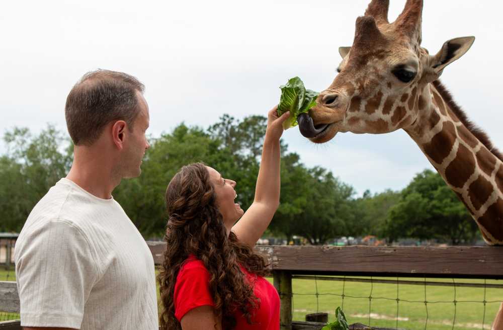 Wild Adventures Safari Campground, Valdosta, Georgia - Photo 5