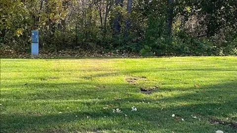 30 AMP RV Site — image 2 of 7