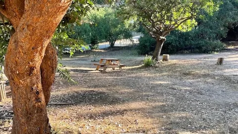 RV Site — image 2 of 5
