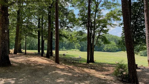 Premium/Mountain View Site — image 2 of 9