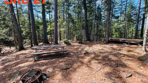 WOODED TENT SITE — image 1 of 4