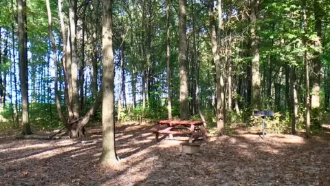 Lake Side Deluxe Tent Site with Dock — image 1 of 1