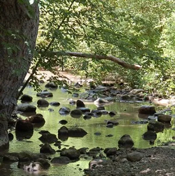 Maple Grove Christian Retreat Centre, Thamesford, Ontario campground