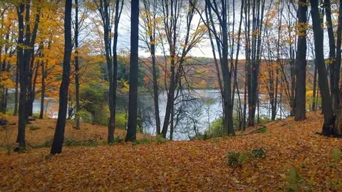 Lake Adjacent Tent Site — image 1 of 1