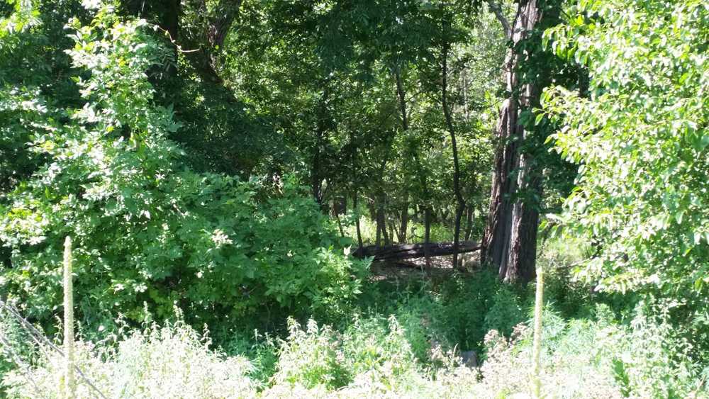 Blue Heron Campground - Photo 5