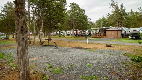 Premium Water & Electric RV Site — image 2 of 3