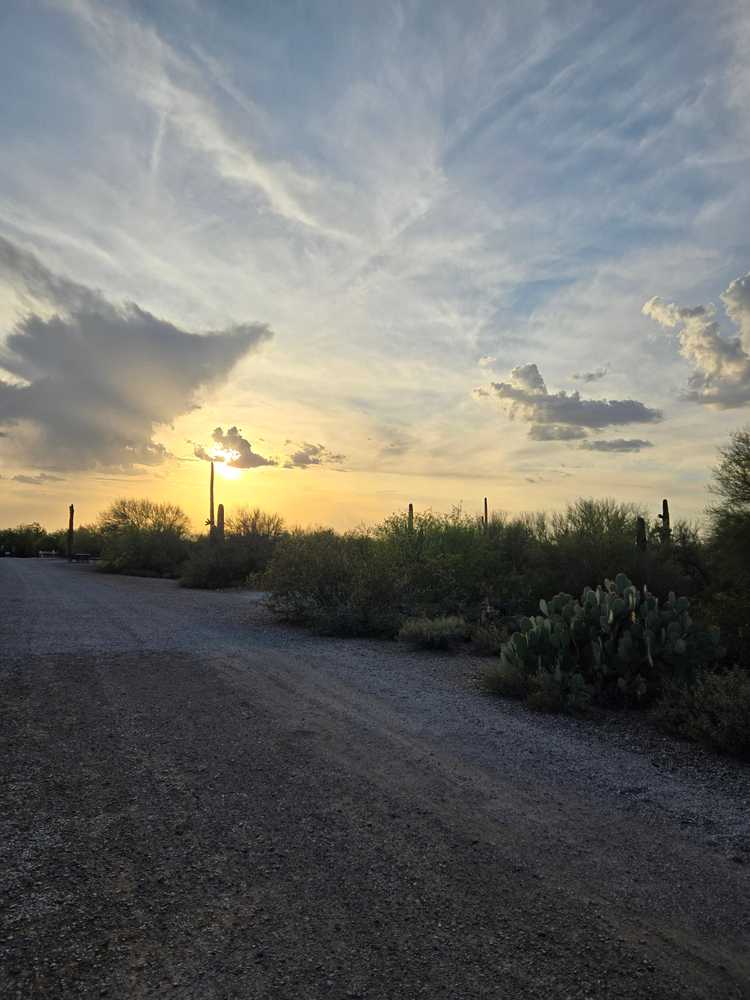 Park Image 12