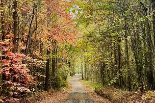 Eden Farm RV Park – photo 4