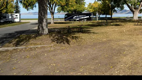 Standard Full - Hookup RV Site — image 1 of 3