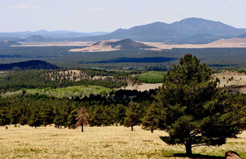 Woody Mountain Campground, Flagstaff, Arizona - Photo 3