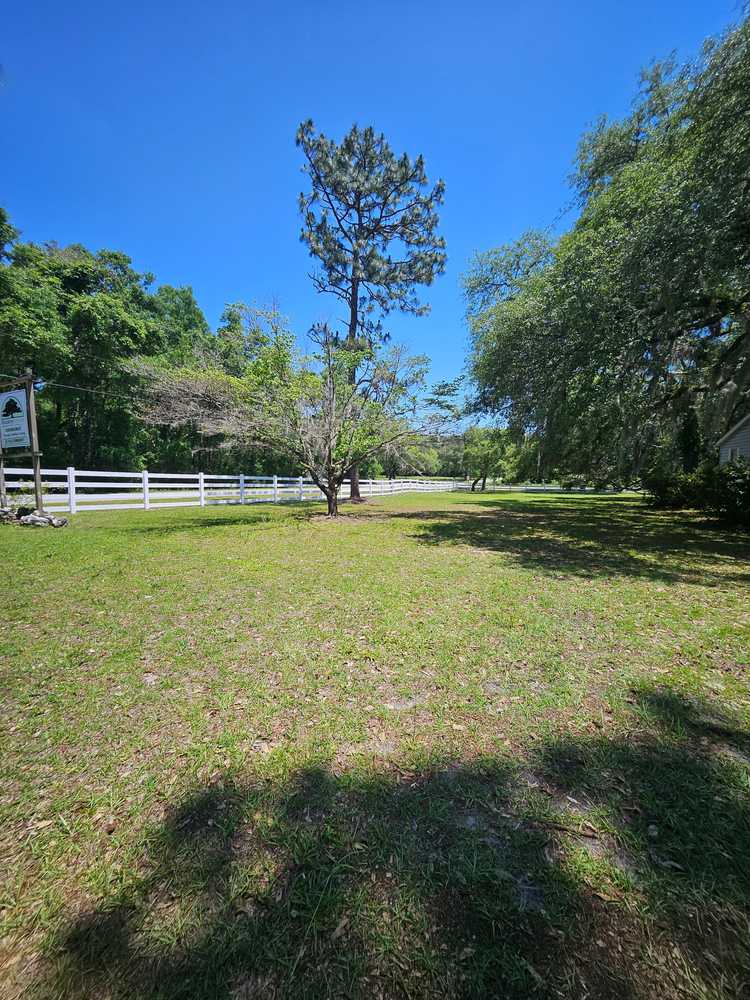 Manatee Springs RV Park, Chiefland, Florida - Photo 4