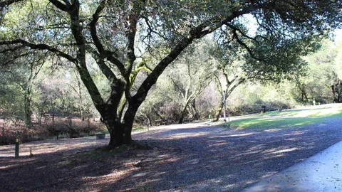 30/50 Amp Premium View RV Site — image 7 of 7