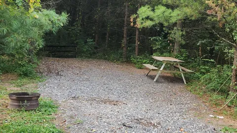 Tent Site — image 3 of 3