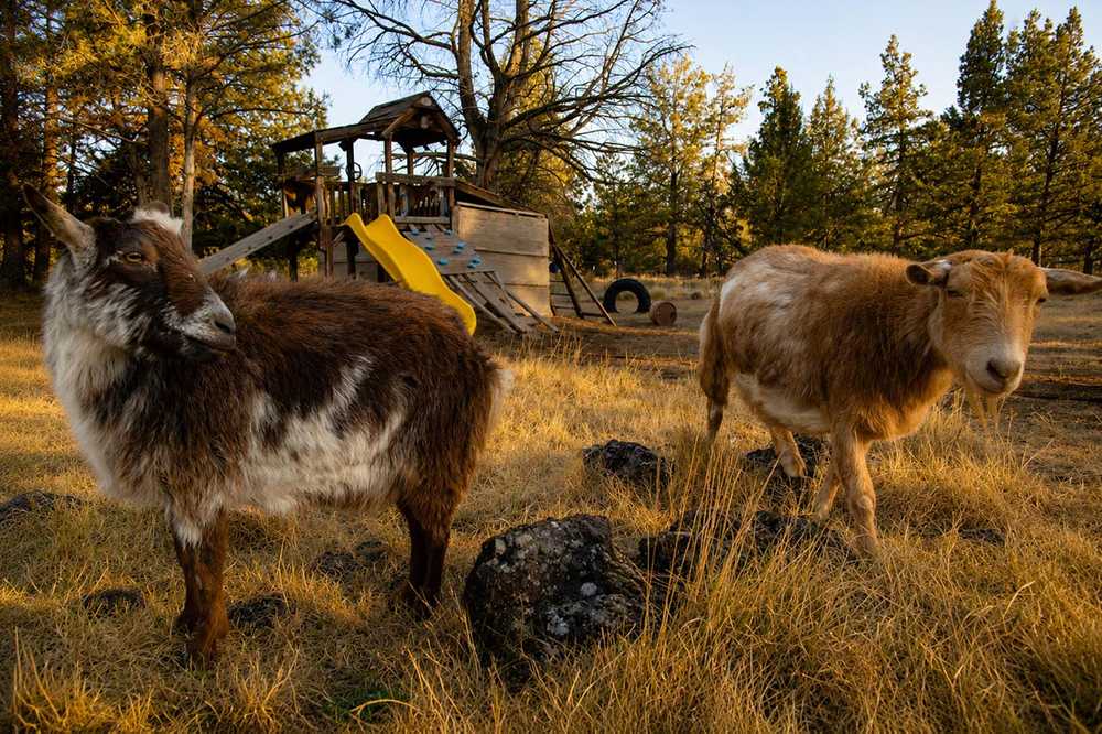 Roadhouse Ranch & Camp - Bend, OR - Photo 2