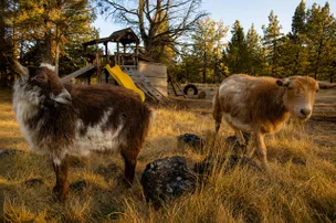 Roadhouse Ranch & Camp – photo 2
