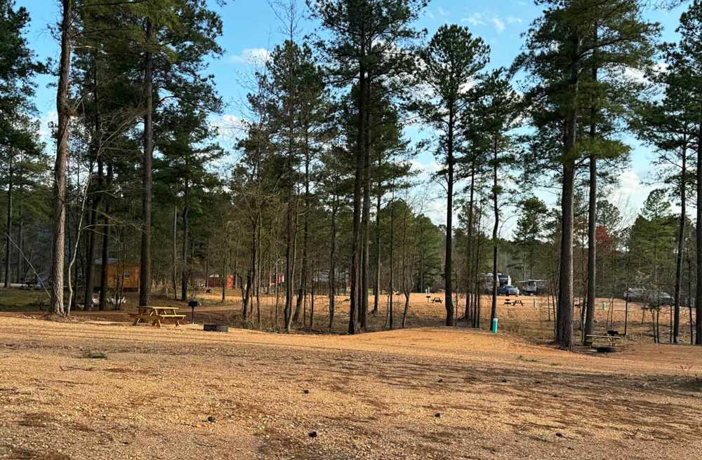 Park Image 6