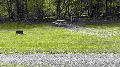 Grassy Field Full Hook-Up RV Site — image 2 of 5