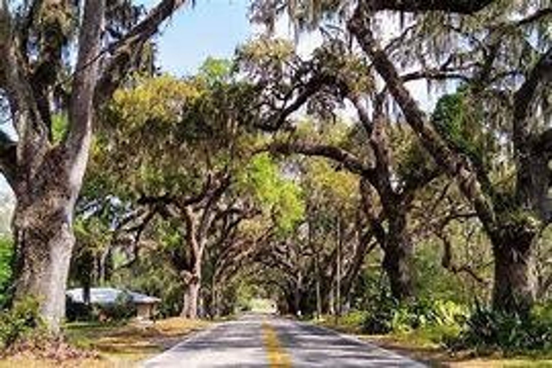 Moonrise RV Resort, Floral City, Florida