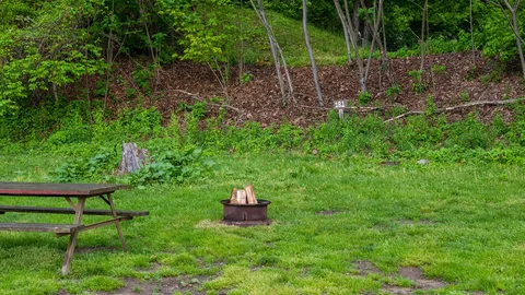 Rustic Tent — image 2 of 4