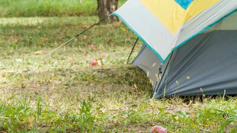 Lower Orchard Campsites — image 2 of 7