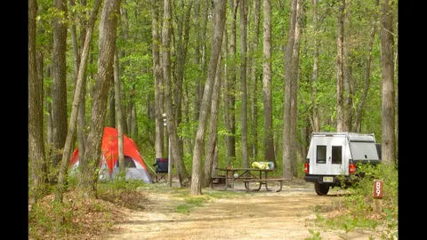 Standard Pull-Through Campsite — image 1 of 1