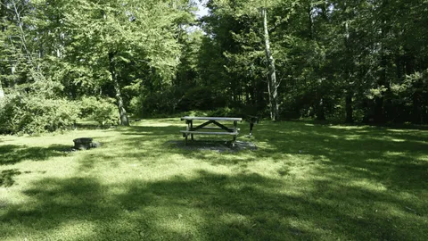 PRIMITIVE TENT SITE — image 3 of 3