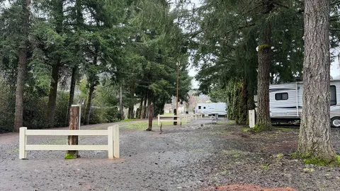 30 Amp Shaded RV Site — image 1 of 10