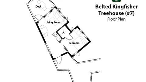 Belted Kingfisher Treehouse — image 8 of 8