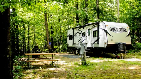 Deluxe Back-In RV Site — image 1 of 11