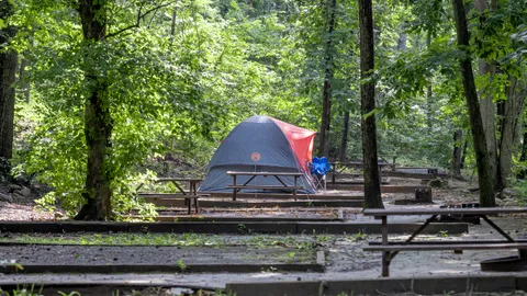 Riverfront Tent — image 1 of 9