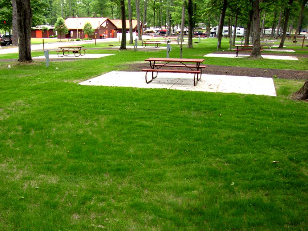 Dune Town Camp-Resort - Photo 2